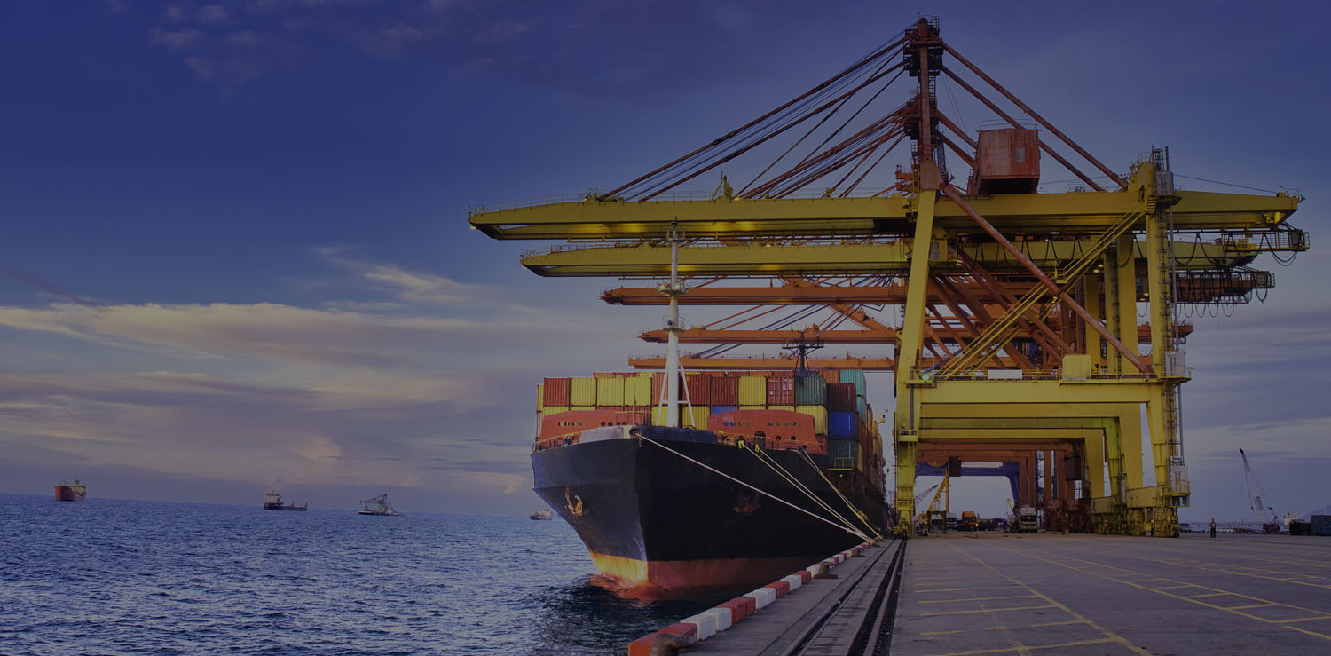 Vizhinjam International Seaport